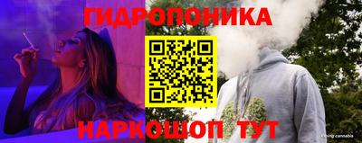 сатива Бузулук