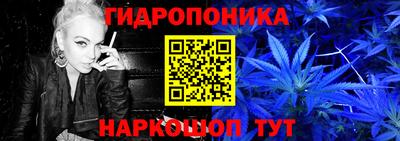 сатива Бузулук
